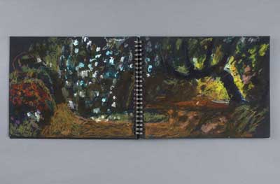 Blossom and Pathway, 2007, oil pastel, oil stick on black paper