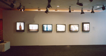 lightboxes in gallery