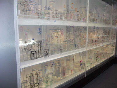 transparent drawings on acetate made with participants at The Big Draw Hunterian Museum.