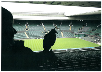 Sally and Rufus the hawk on Centre Court